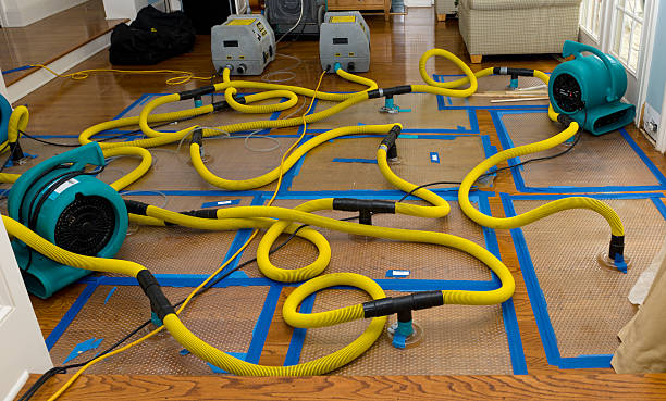 Professional Water Damage Restoration technician working in Palmersville, TN